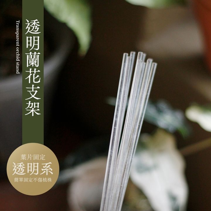 tw-11134207-7r98y-lwn1bnd71j5c3e