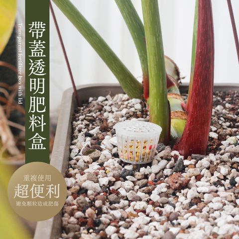 tw-11134207-23030-ty9kb1hk0qov14