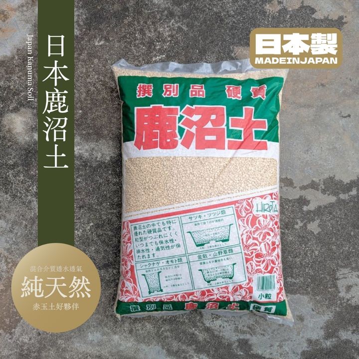 tw-11134207-7r98x-lqcwipj5orfcdc