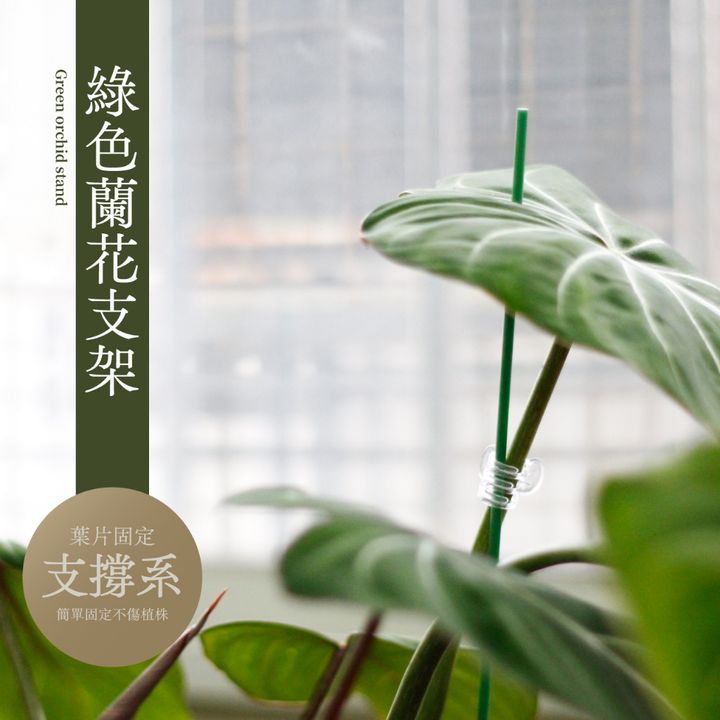 tw-11134207-7qukw-li4fwtvb67ck0b