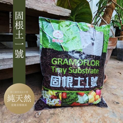 tw-11134207-7r98p-lw60yilwnm06e8