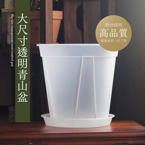 sg-11134201-22120-jrkbtgf7rflvc5