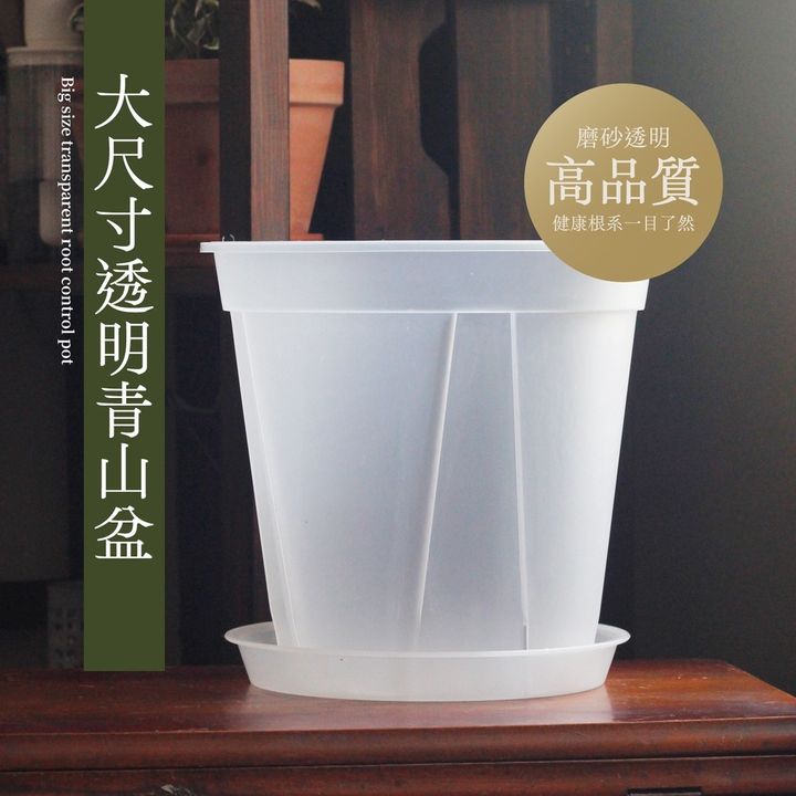 sg-11134201-22120-jrkbtgf7rflvc5