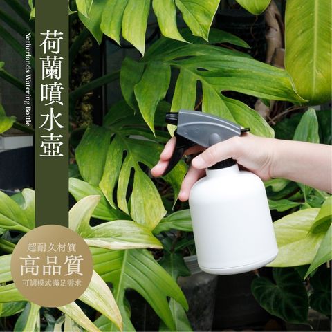 tw-11134207-7r98p-lx3p069a0tgm3e