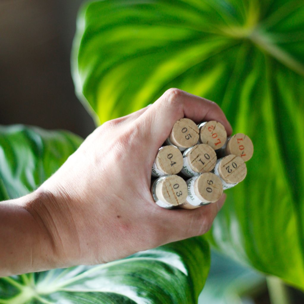 1280x1280植物線香-03