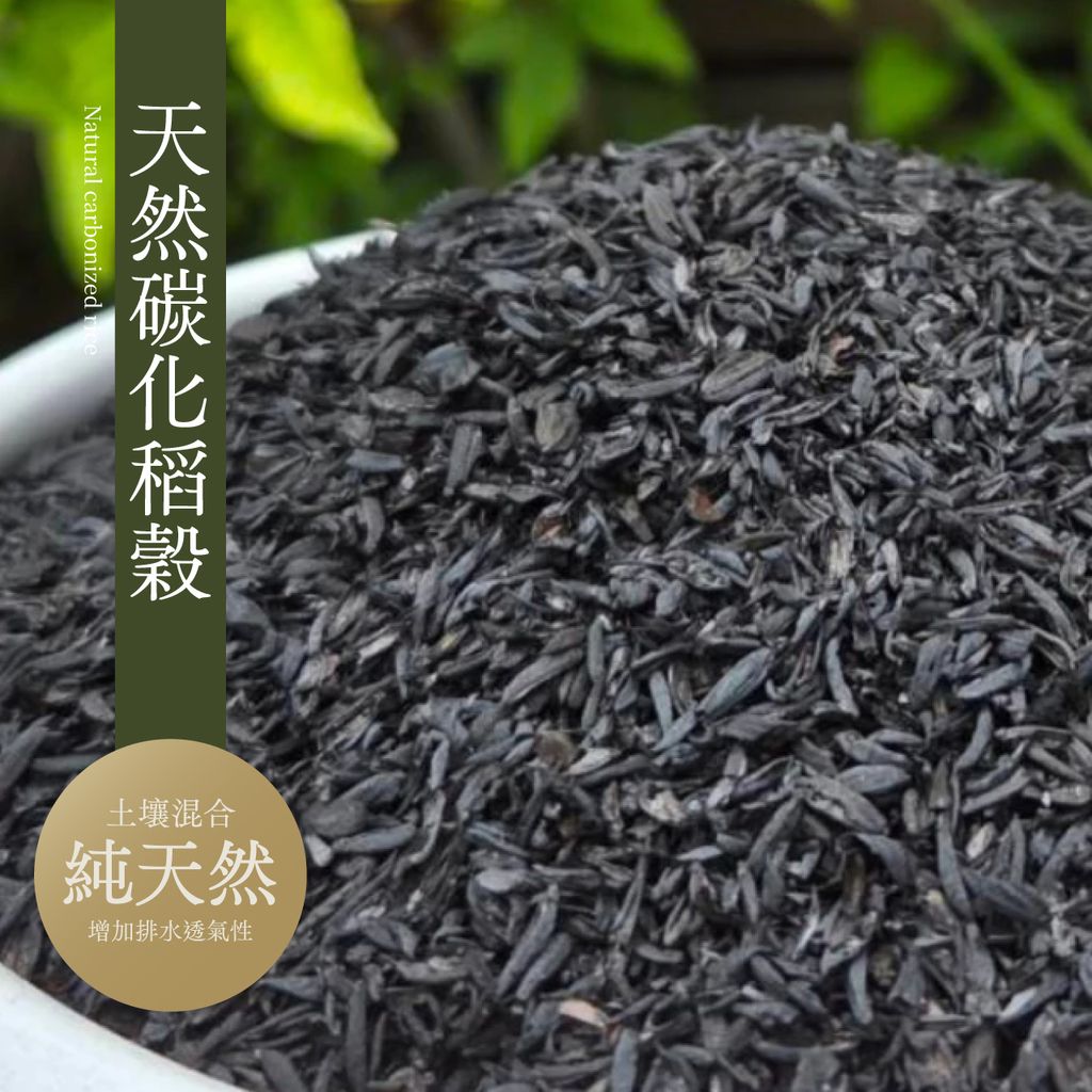 1280x1280碳化稻穀_工作區域 1