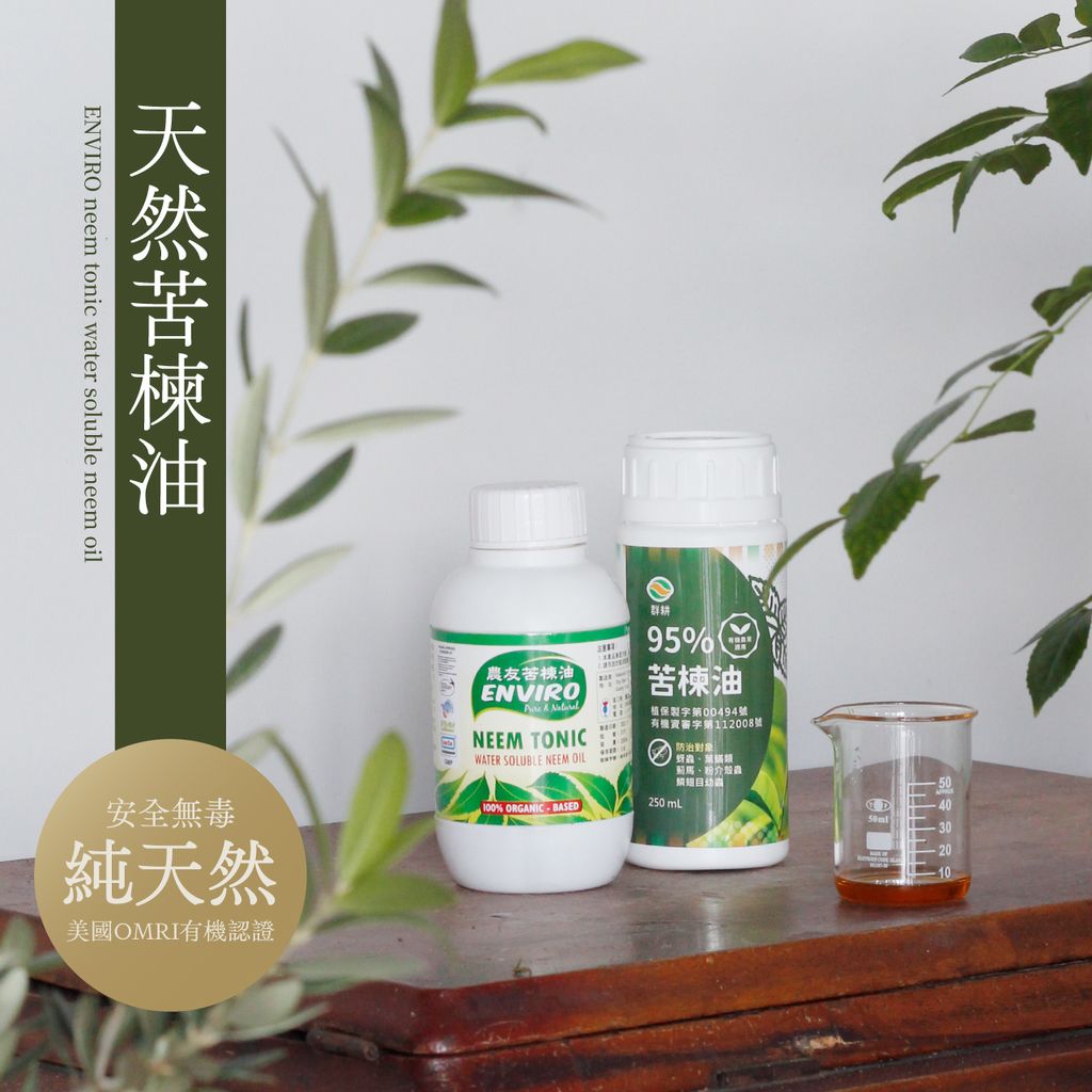 1280x1280苦楝油_工作區域 1