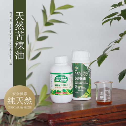 1280x1280苦楝油_工作區域 1