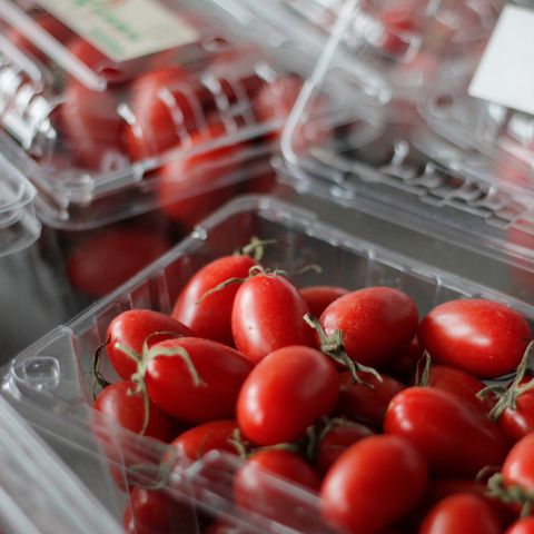 1280x1280樂樂蕃茄-03