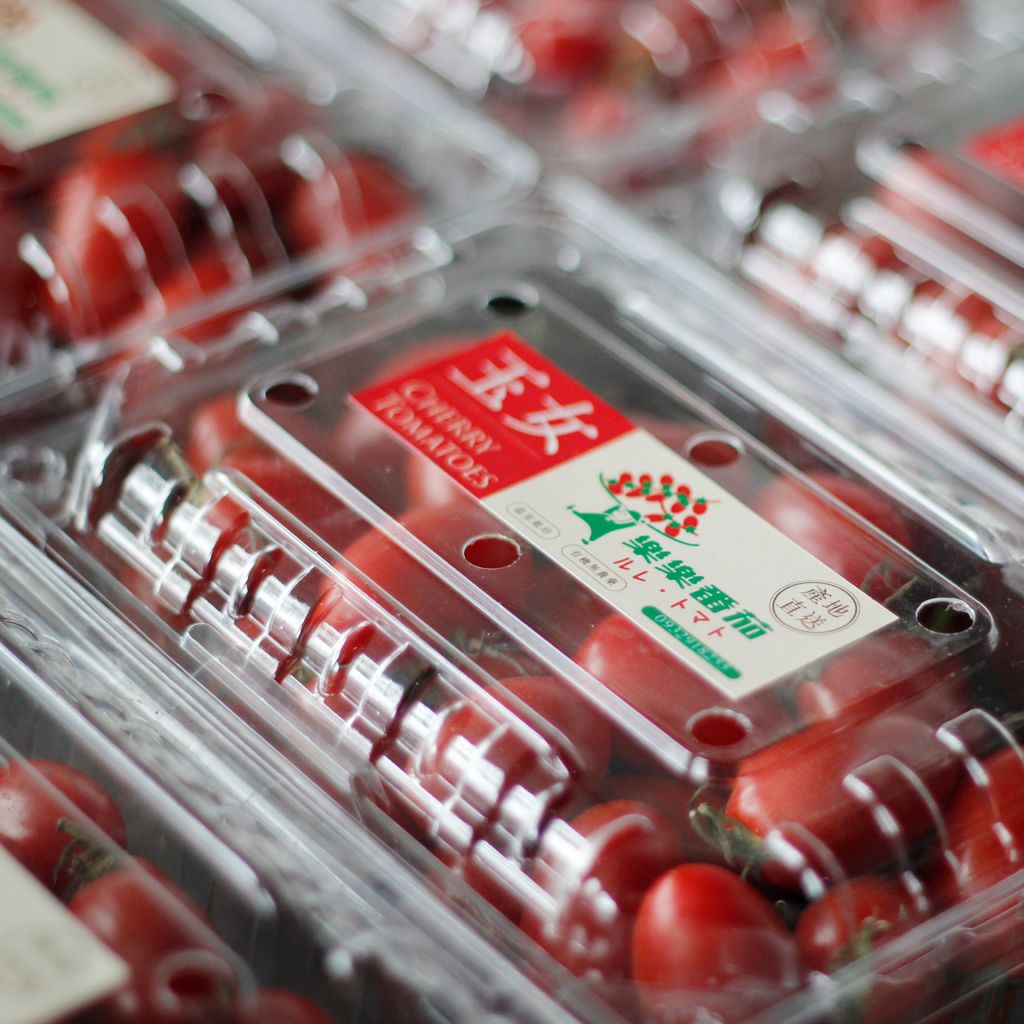 1280x1280樂樂蕃茄-04