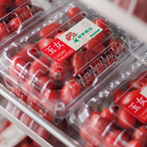 1280x1280樂樂蕃茄-02