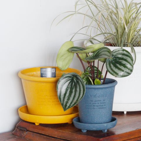 1280x1280日本hachiman環保盆-02