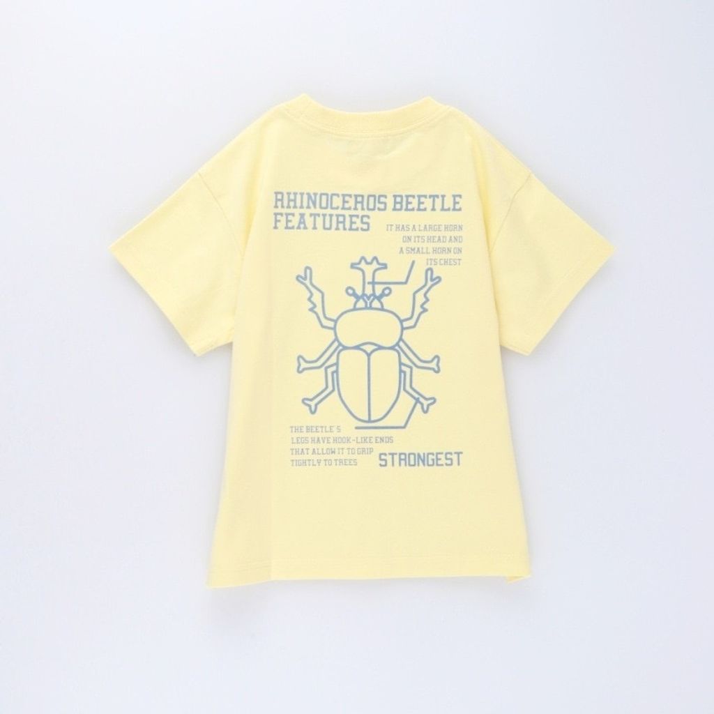 image_033AF563-FC98-4C08-A907-AEB0B3B8849F_1773332005