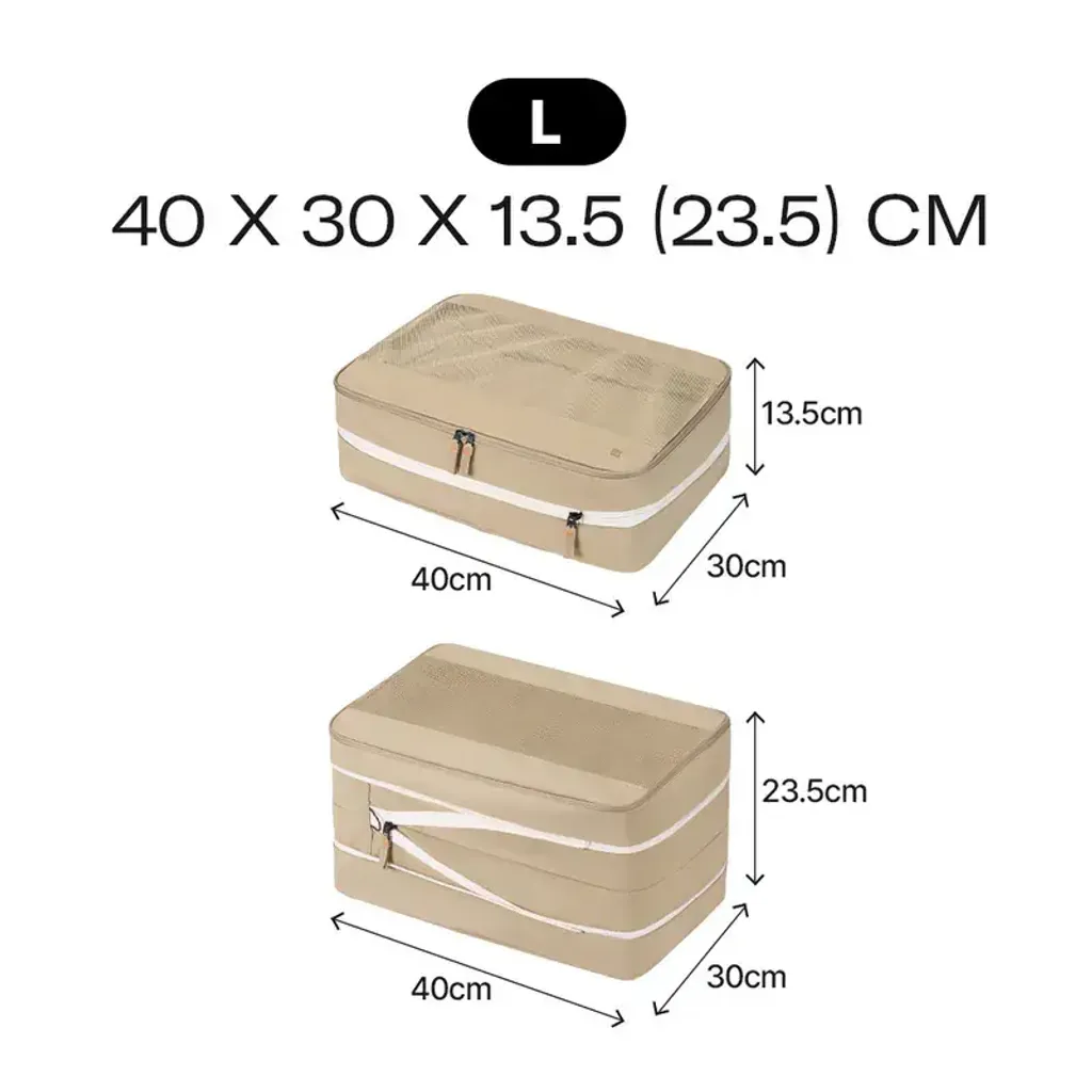 800x (4)