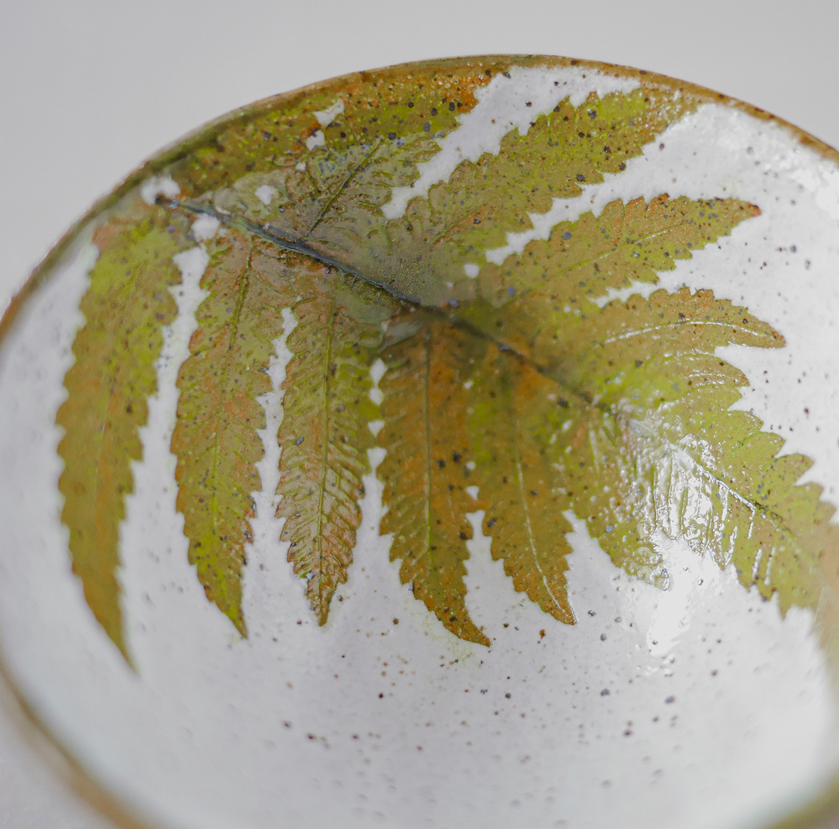 蕨小杯145細節