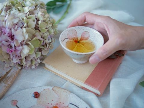 小茶杯－千代蘭 形象照