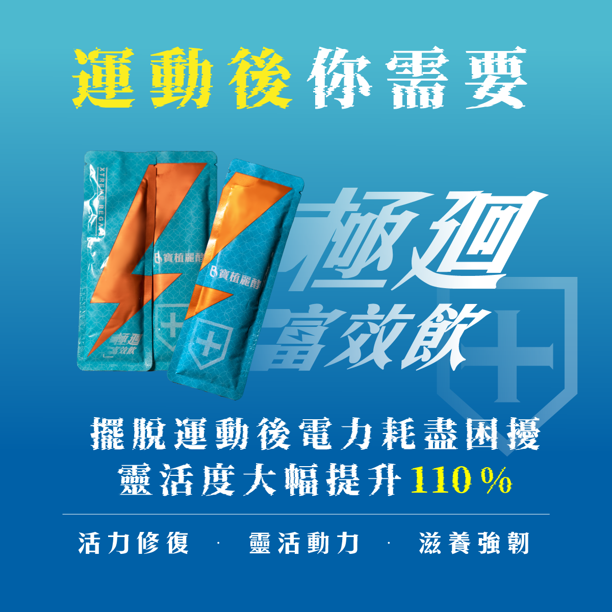 寶植網頁極廻01