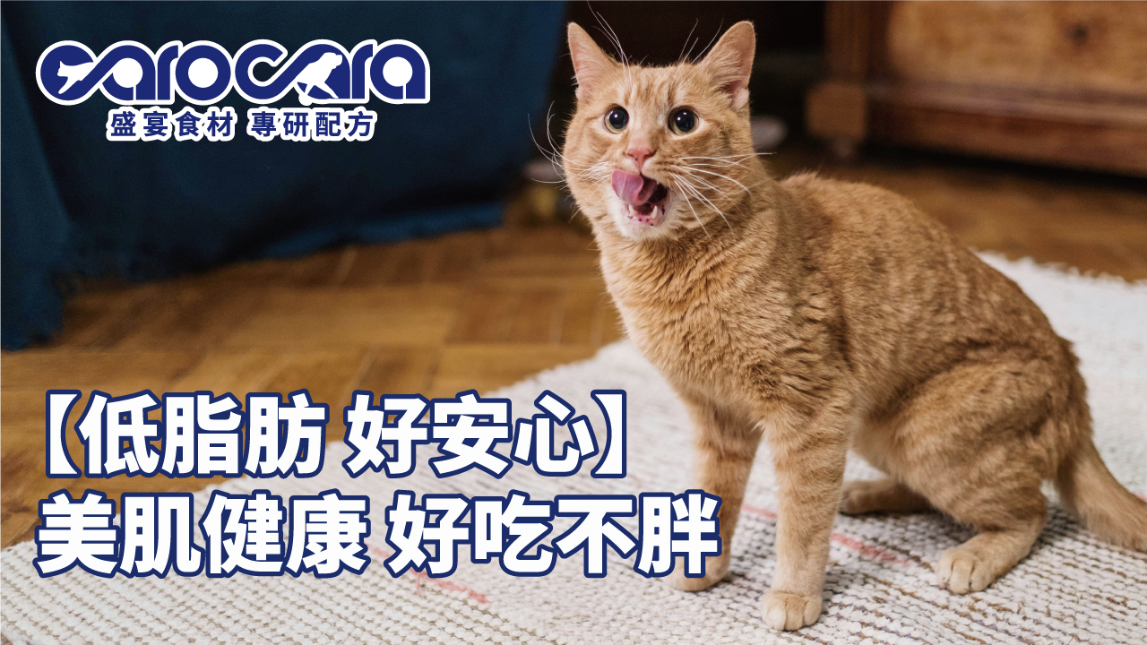 carocara-臭味滾文章2-3