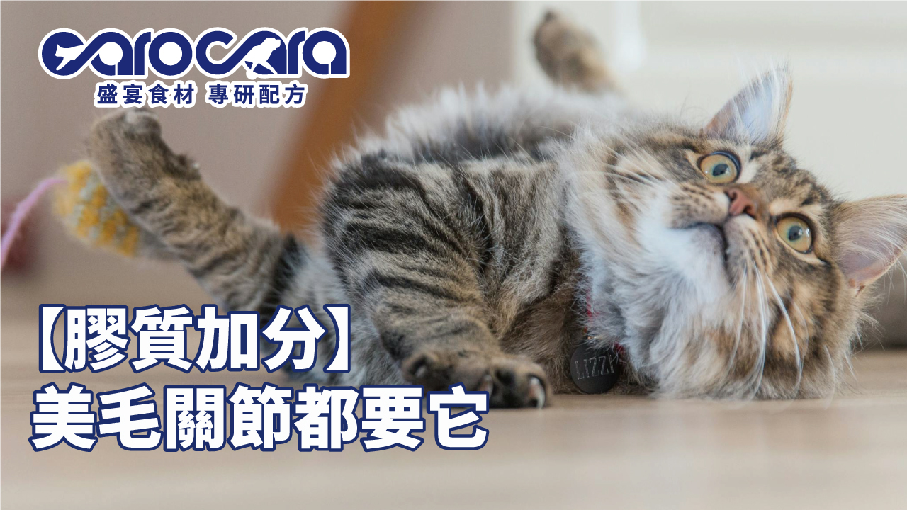 carocara-臭味滾文章2-4