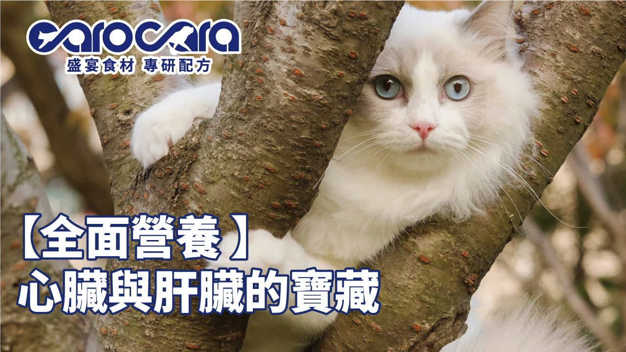 carocara-臭味滾文章2-5