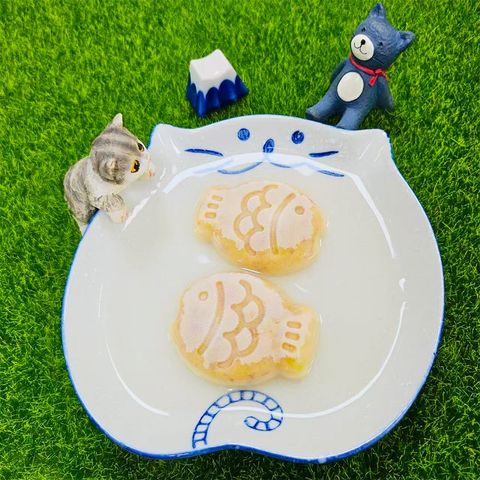 鮭魚元氣雞冠凍-實體圖 (1)