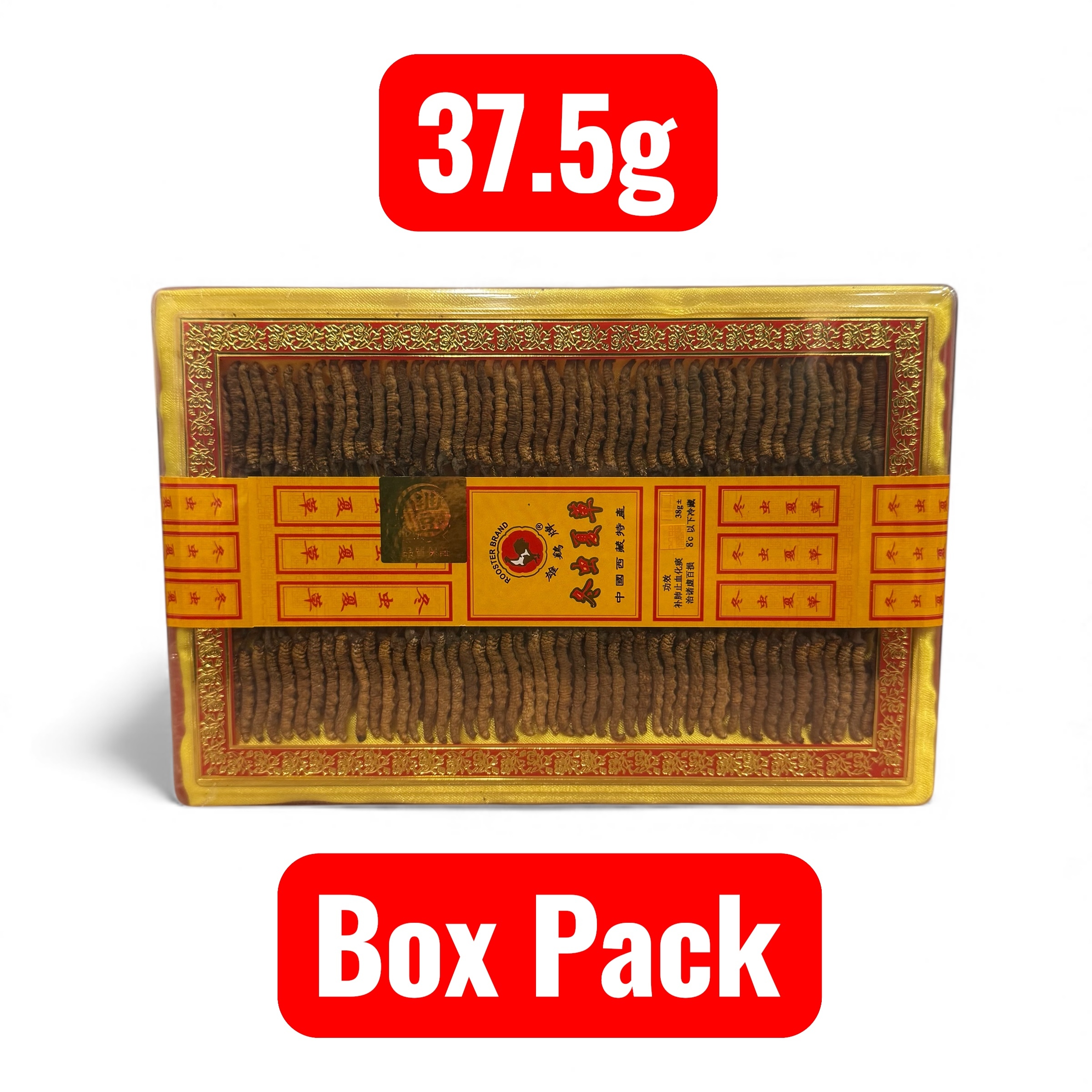 Photoroom_20251112_141519