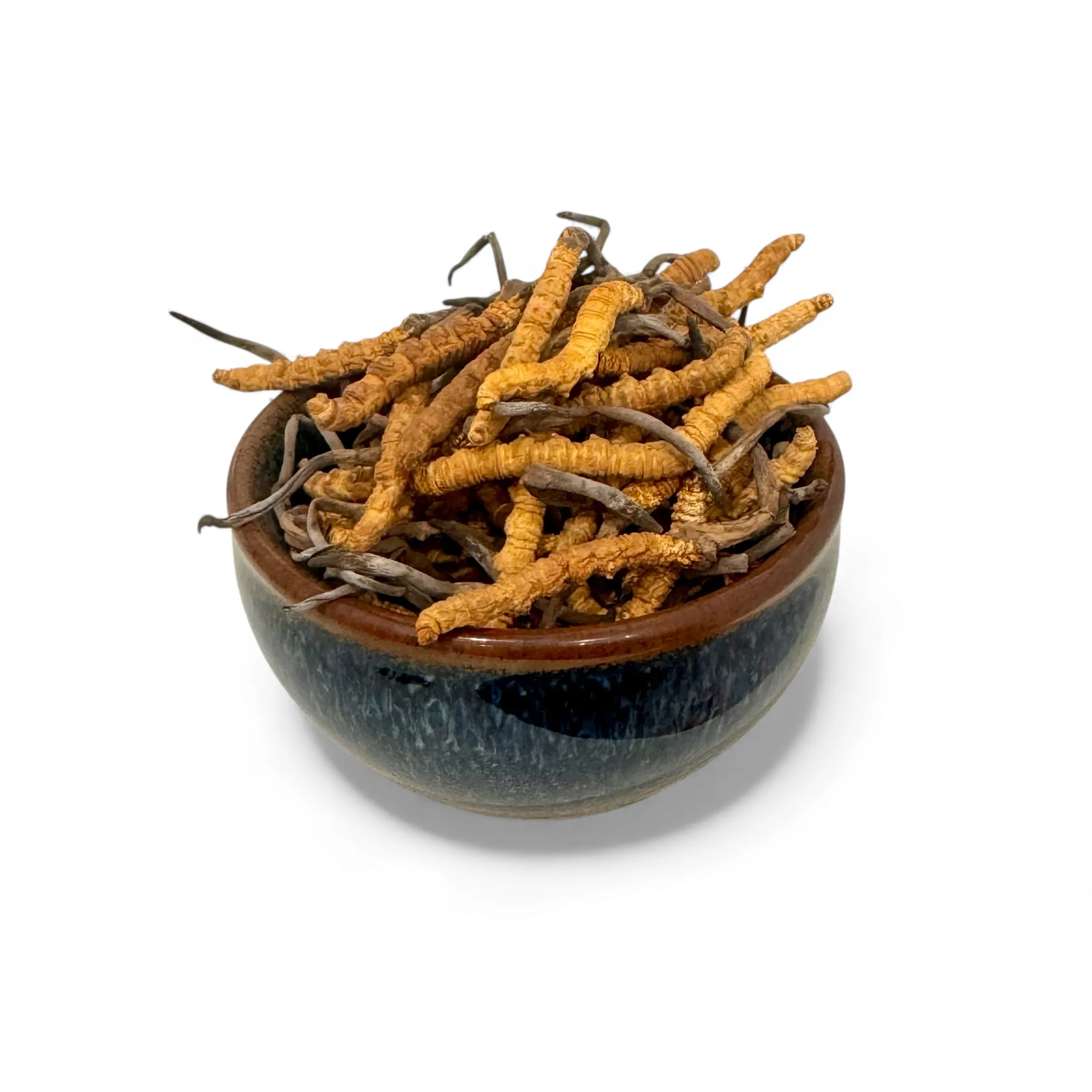 Photoroom_20251112_144249