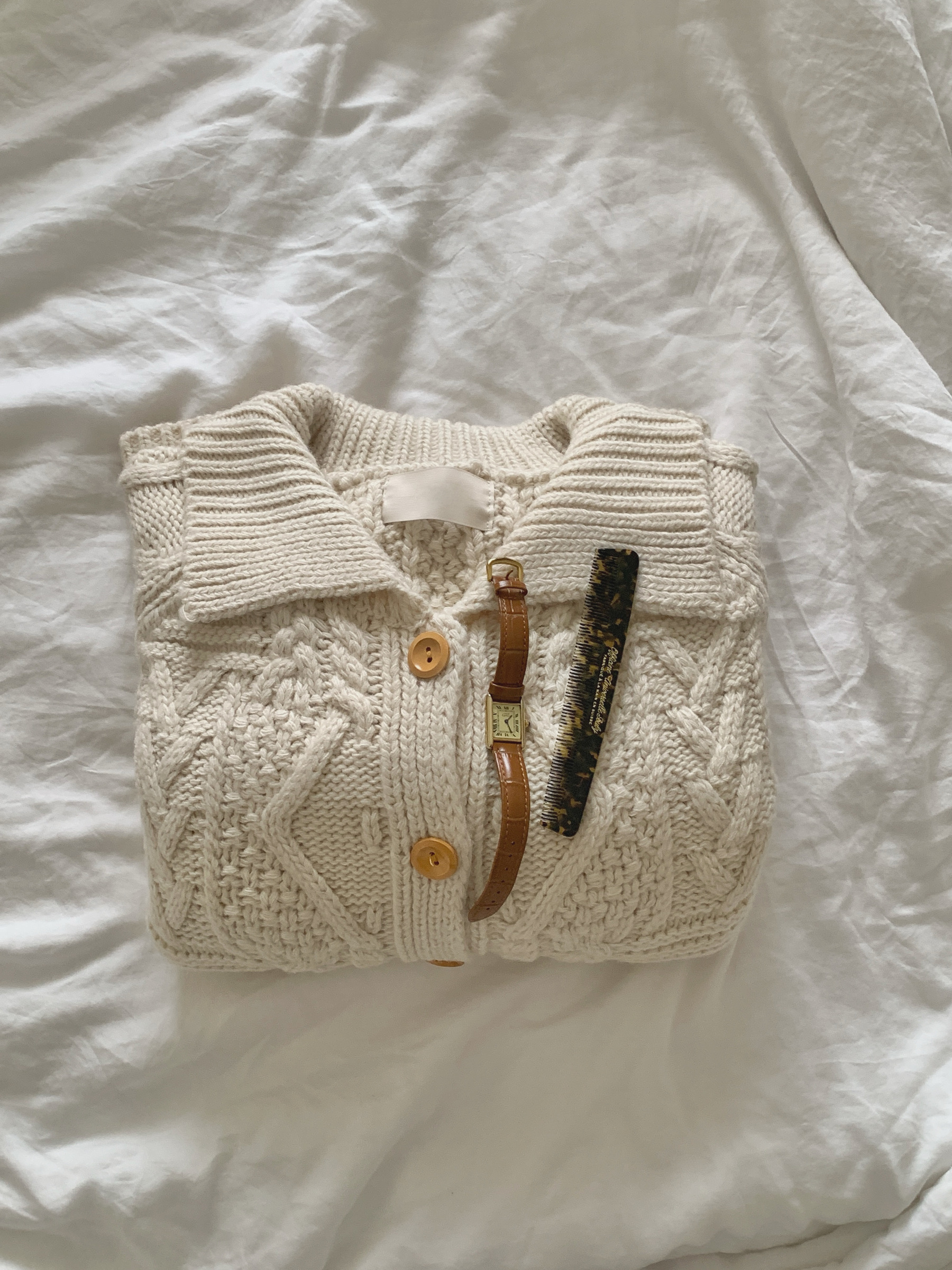 image_9E624C71-5F53-4368-84F5-672CD447CD49_1766504678