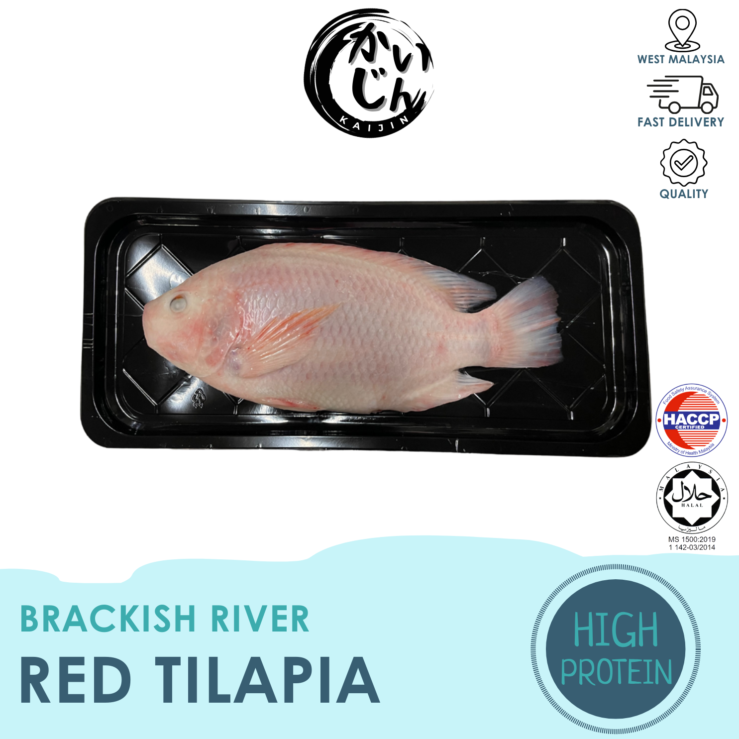 Red Tilapia