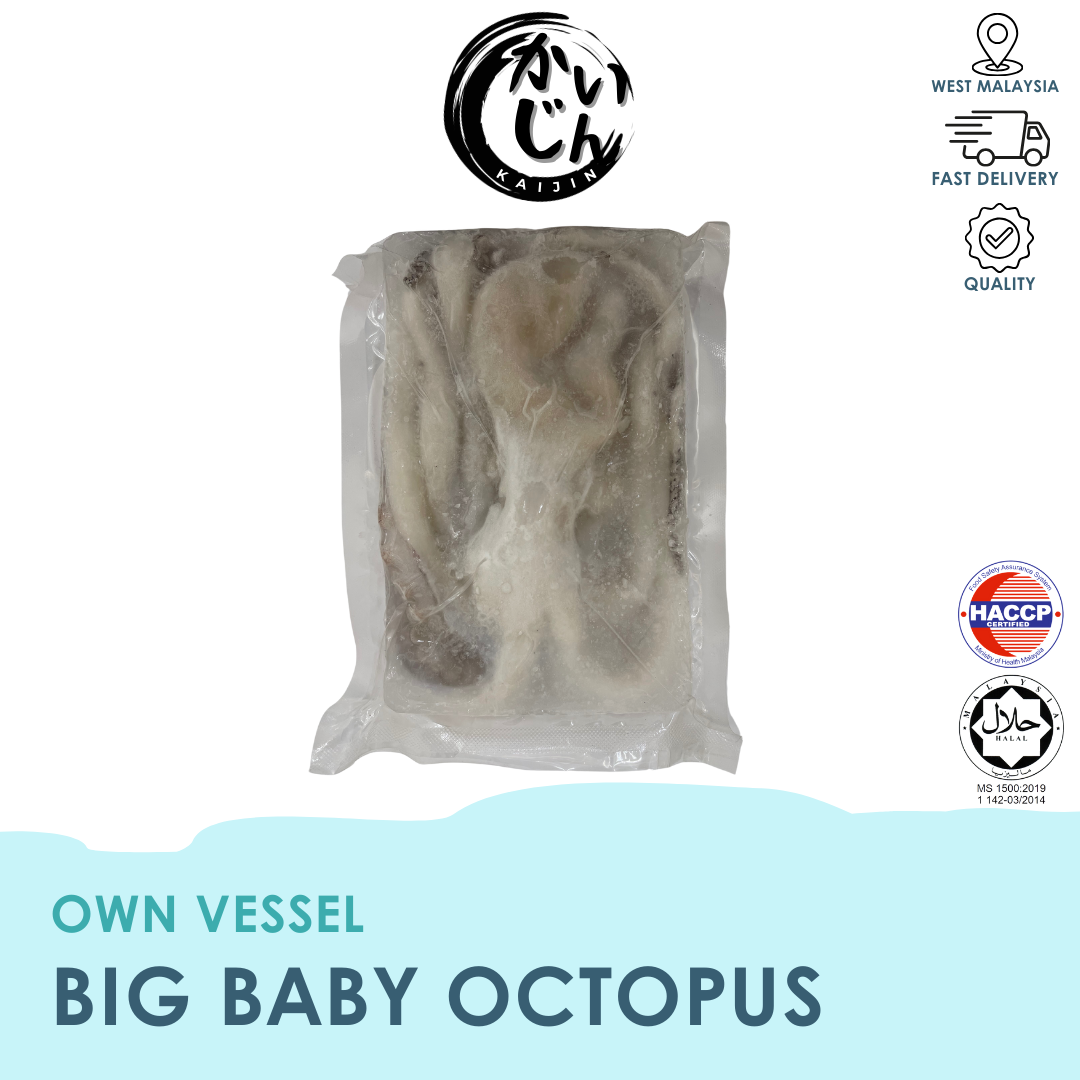 Big Baby Octopus