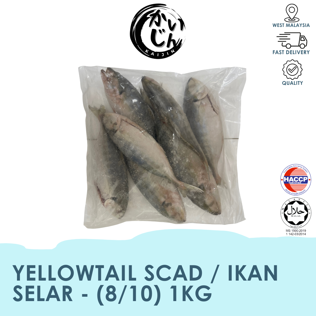 Yellowtail Scad (1kg)