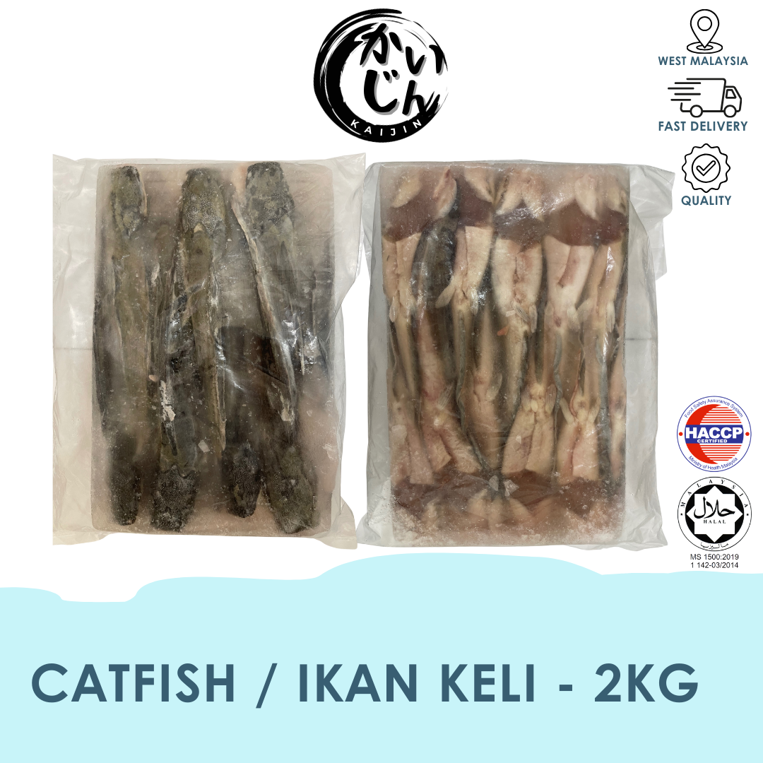Catfish _ Ikan Keli (2kg)