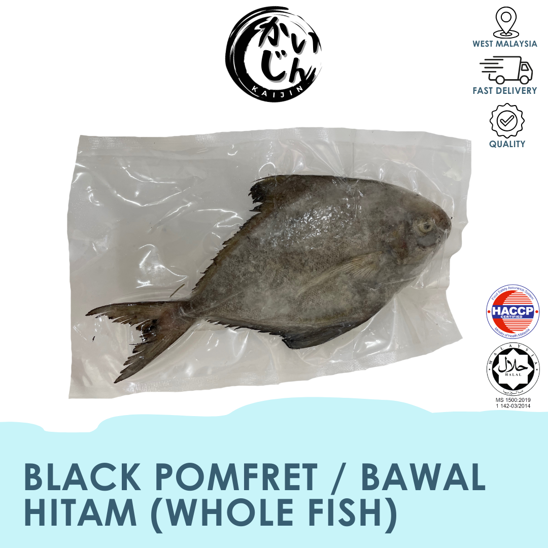 Black Pomfret _ Bawal Hitam