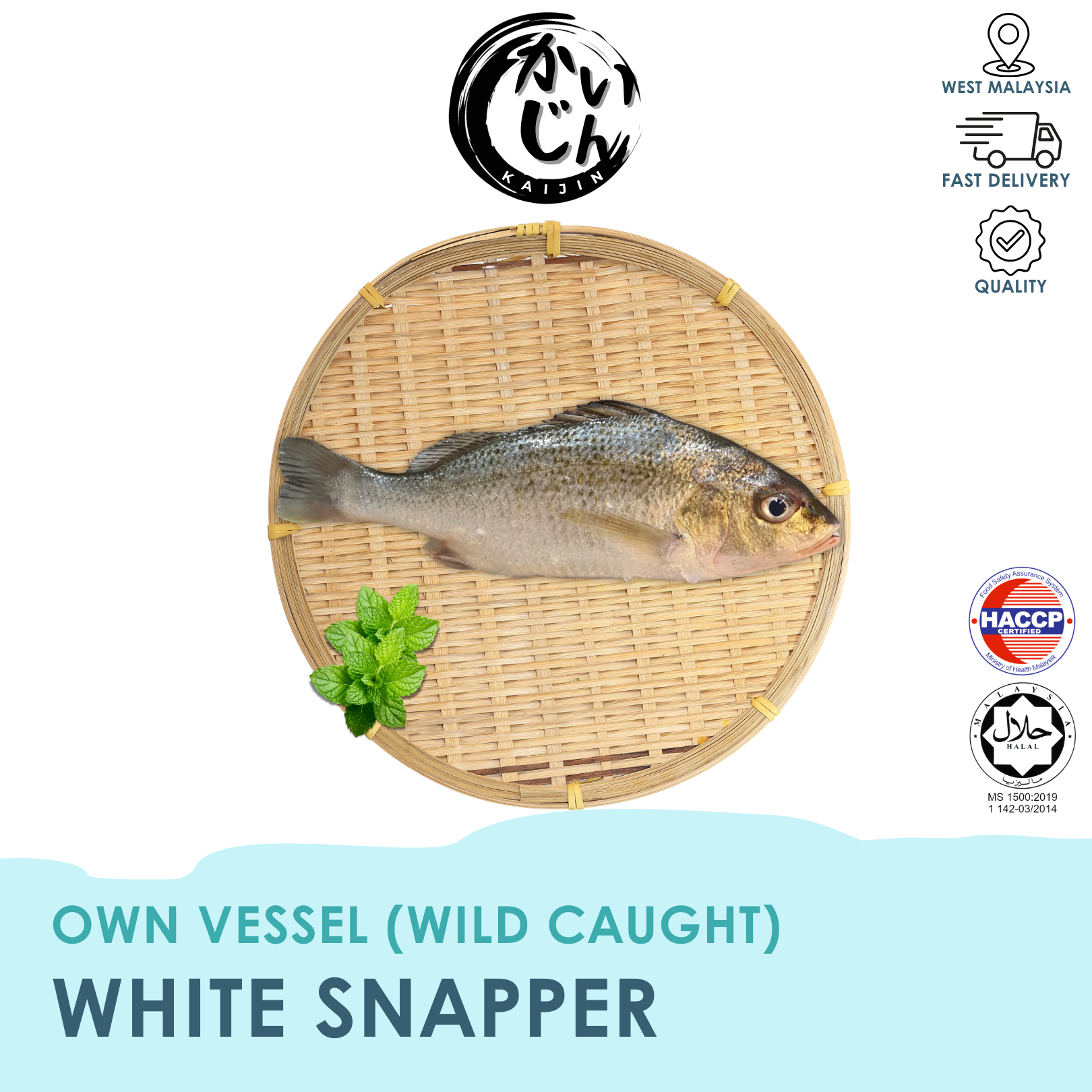 White Snapper （Wild Caught)
