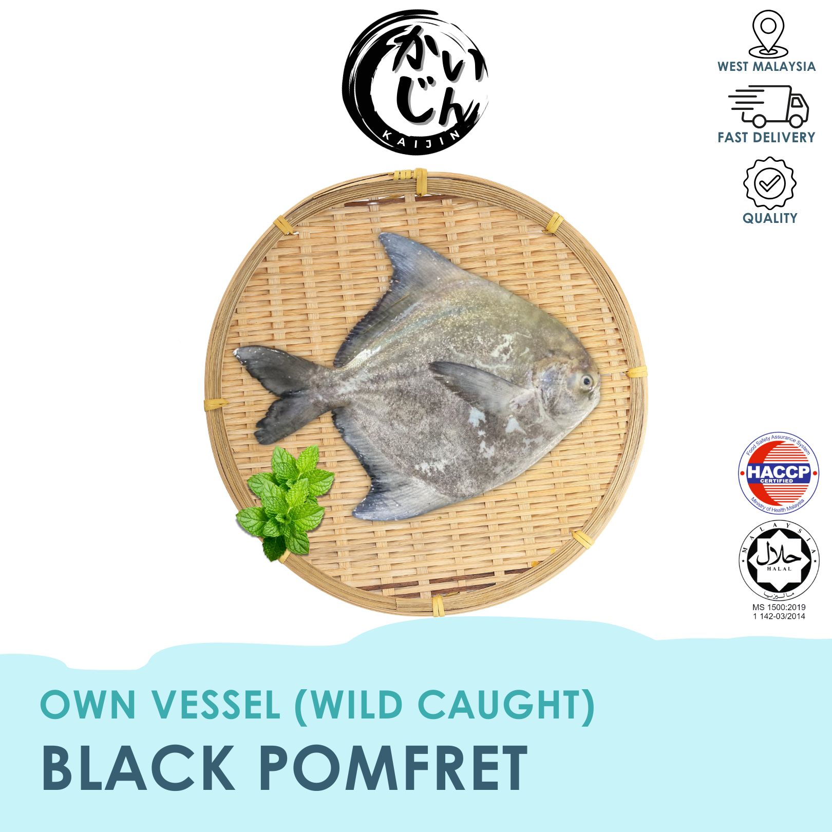 Black Pomfret (Wild Caught)