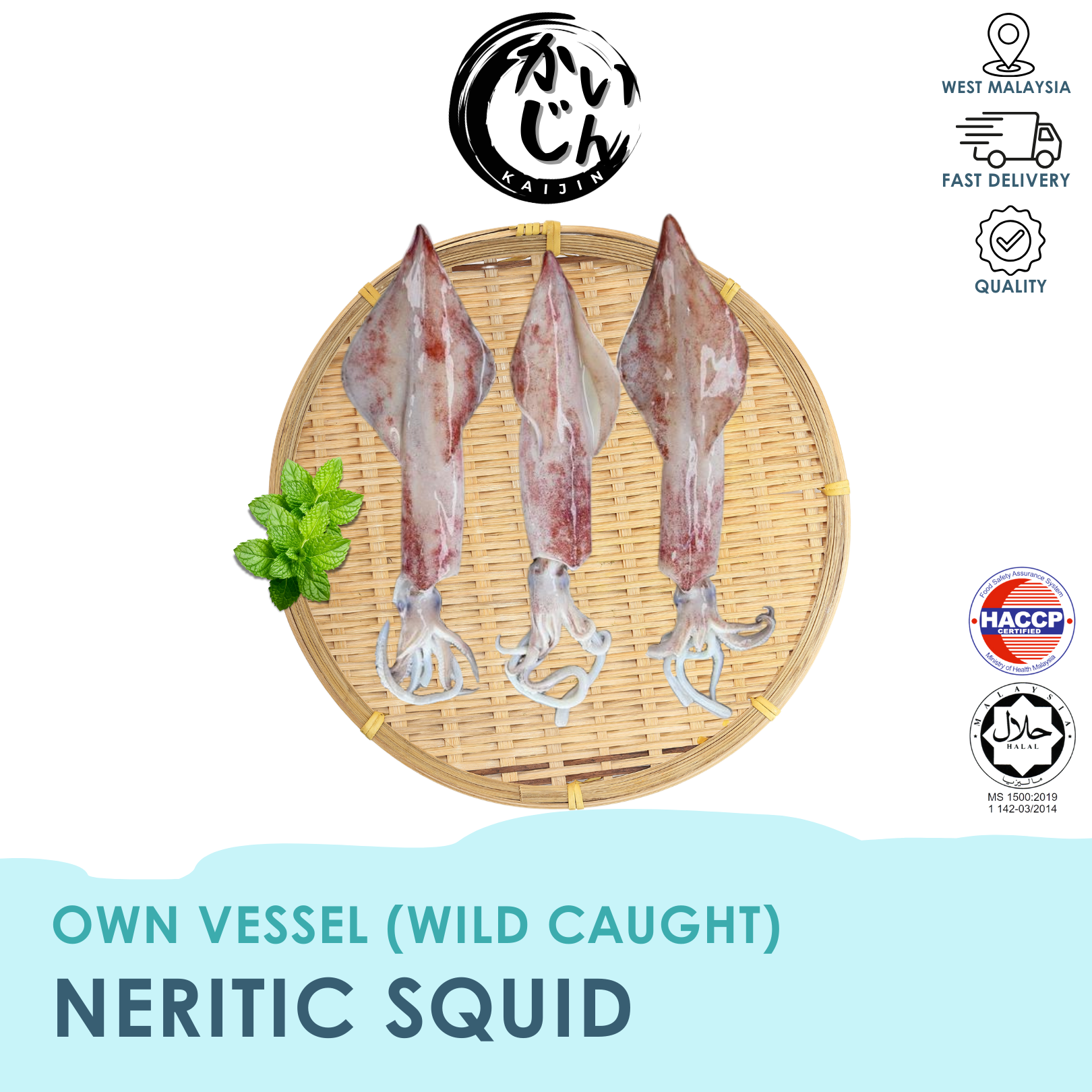Neritic Squid (Wild Caught)