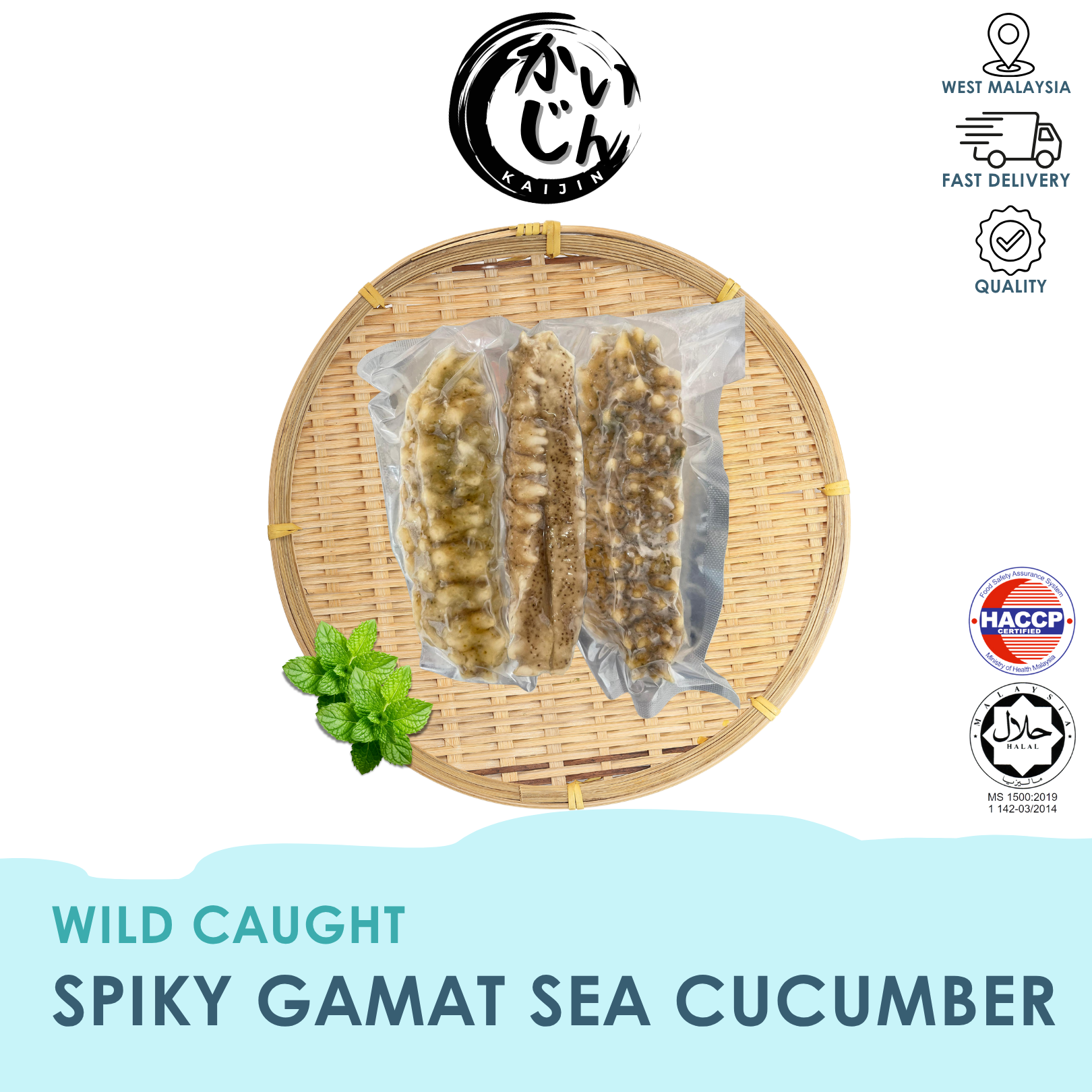 Spiky Gamat Sea Cucumber (Wild Caught)