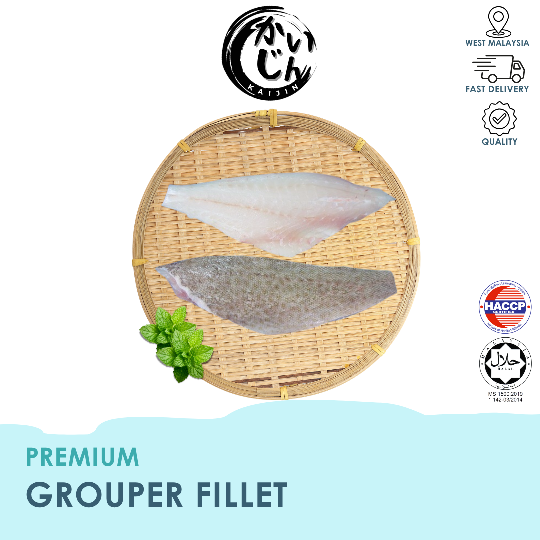 Grouper Fillet
