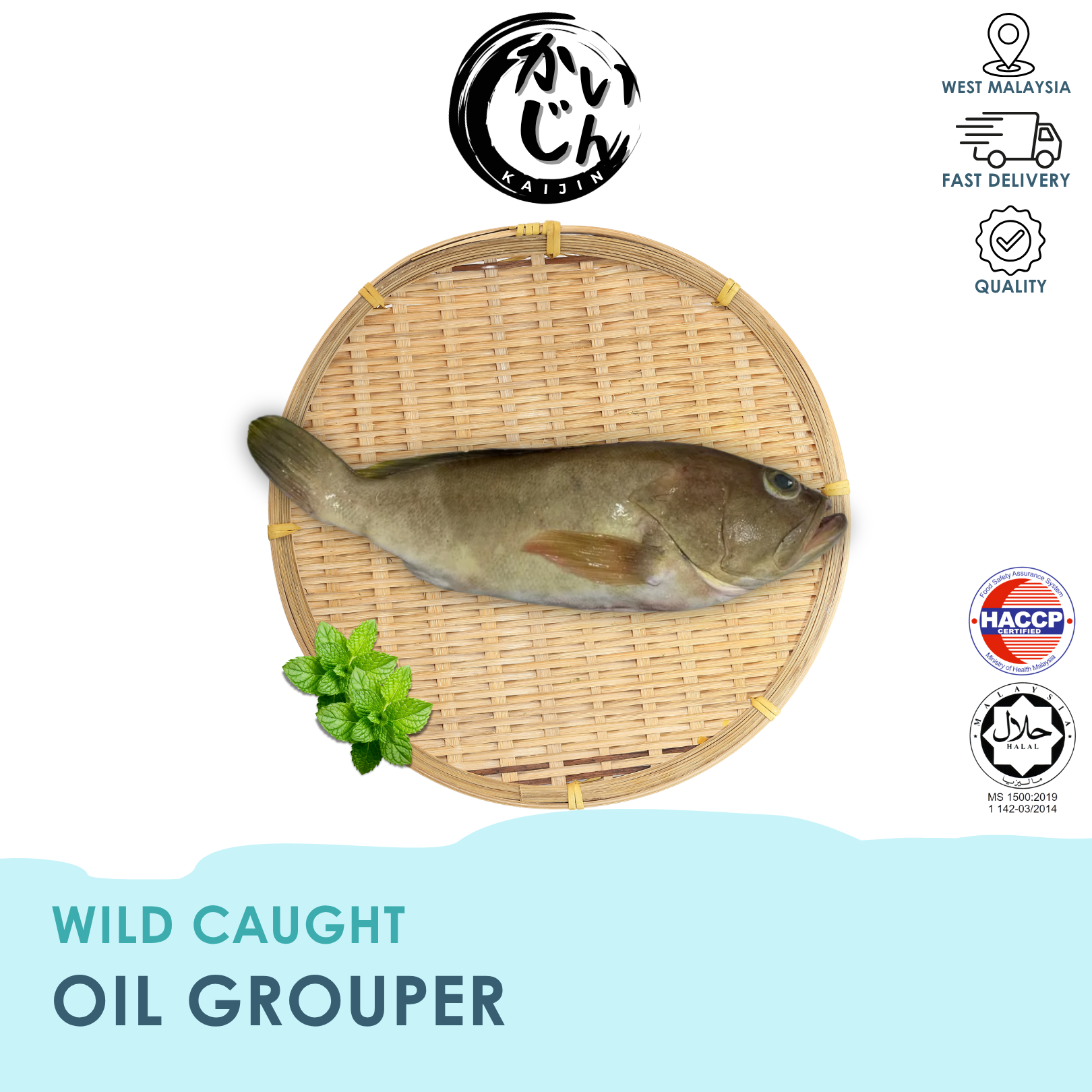 Oil Grouper (Wild Caught)