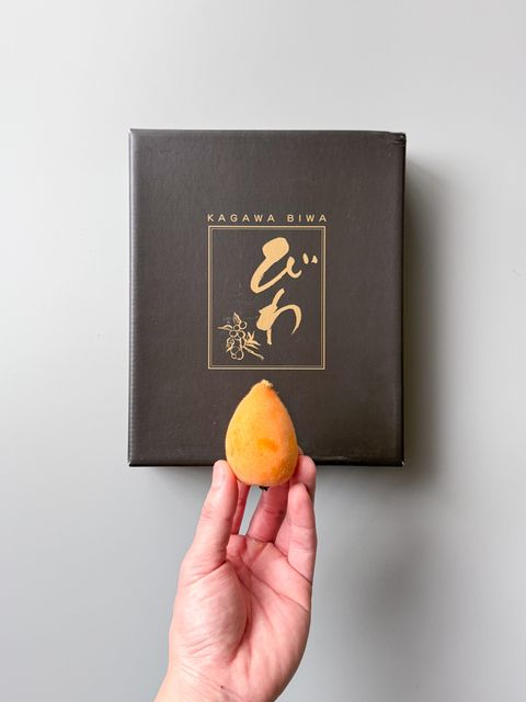 86567999.jpeg?width=480