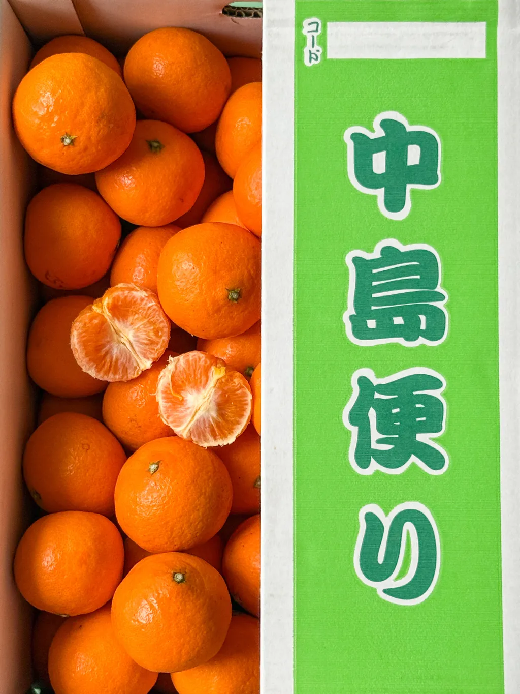 S__26599473_0