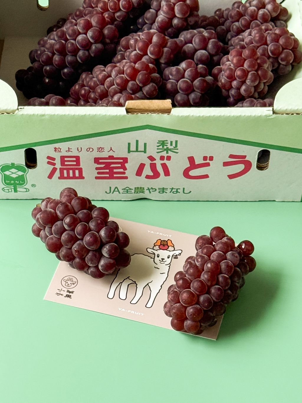 S__26656793_0