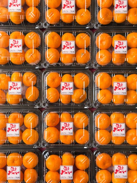 88032219.jpeg?width=480