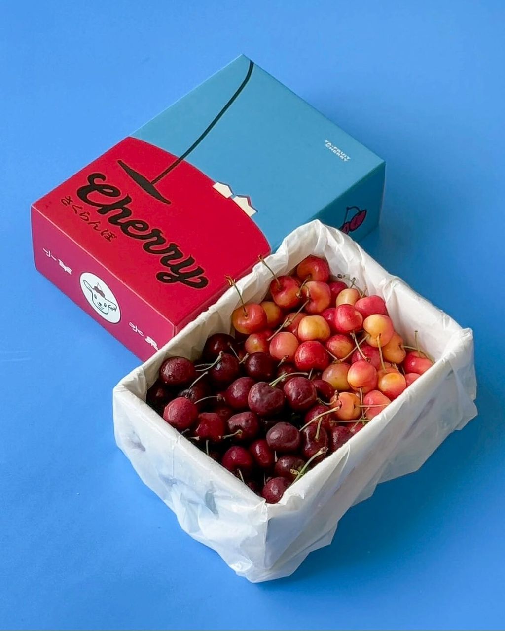 LINE_ALBUM_櫻桃🍒雙色_250624_1