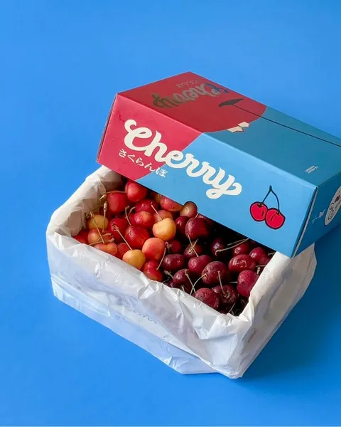 LINE_ALBUM_櫻桃🍒雙色_250624_3