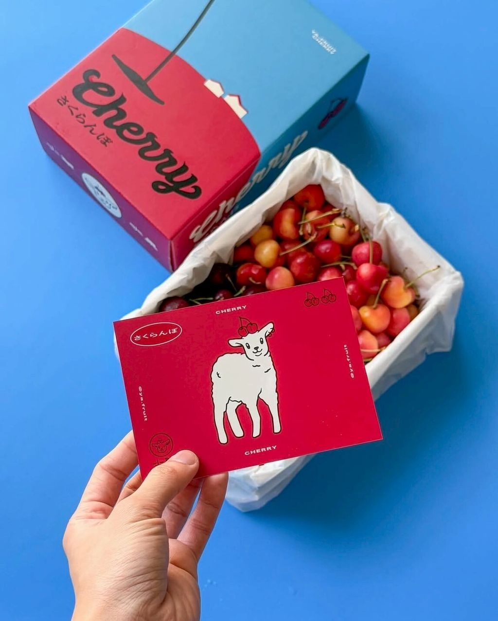 LINE_ALBUM_櫻桃🍒雙色_250624_4