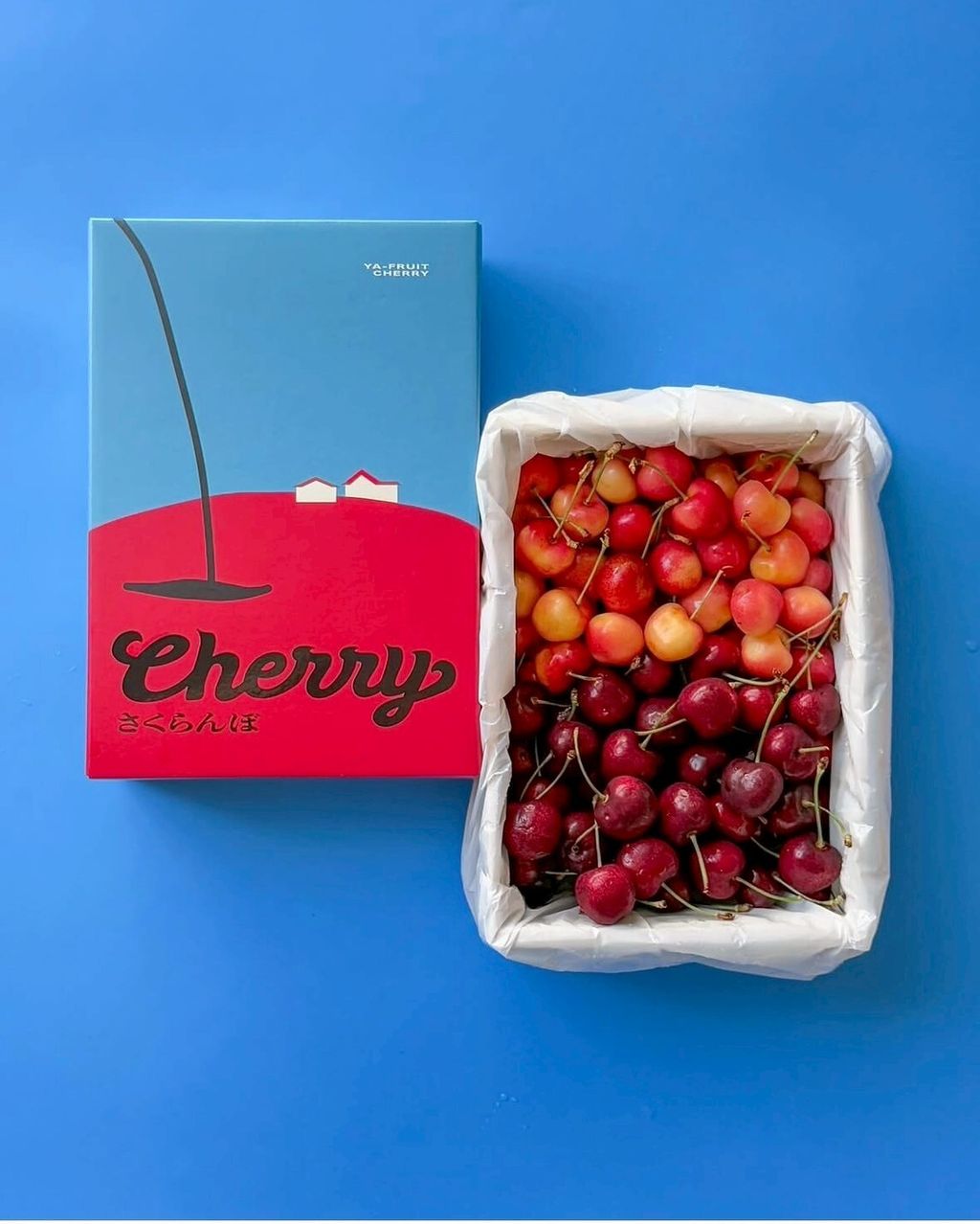 LINE_ALBUM_櫻桃🍒雙色_250624_2