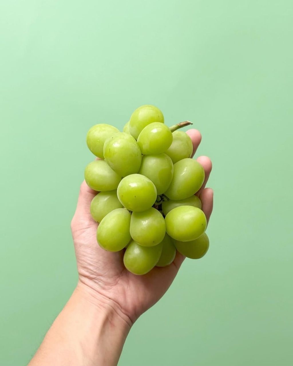 LINE_ALBUM_Pe麝香_250703_2