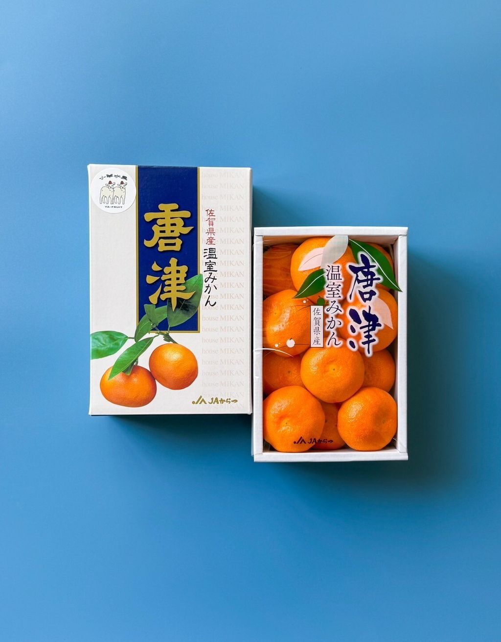 LINE_ALBUM_糖精_250704_5