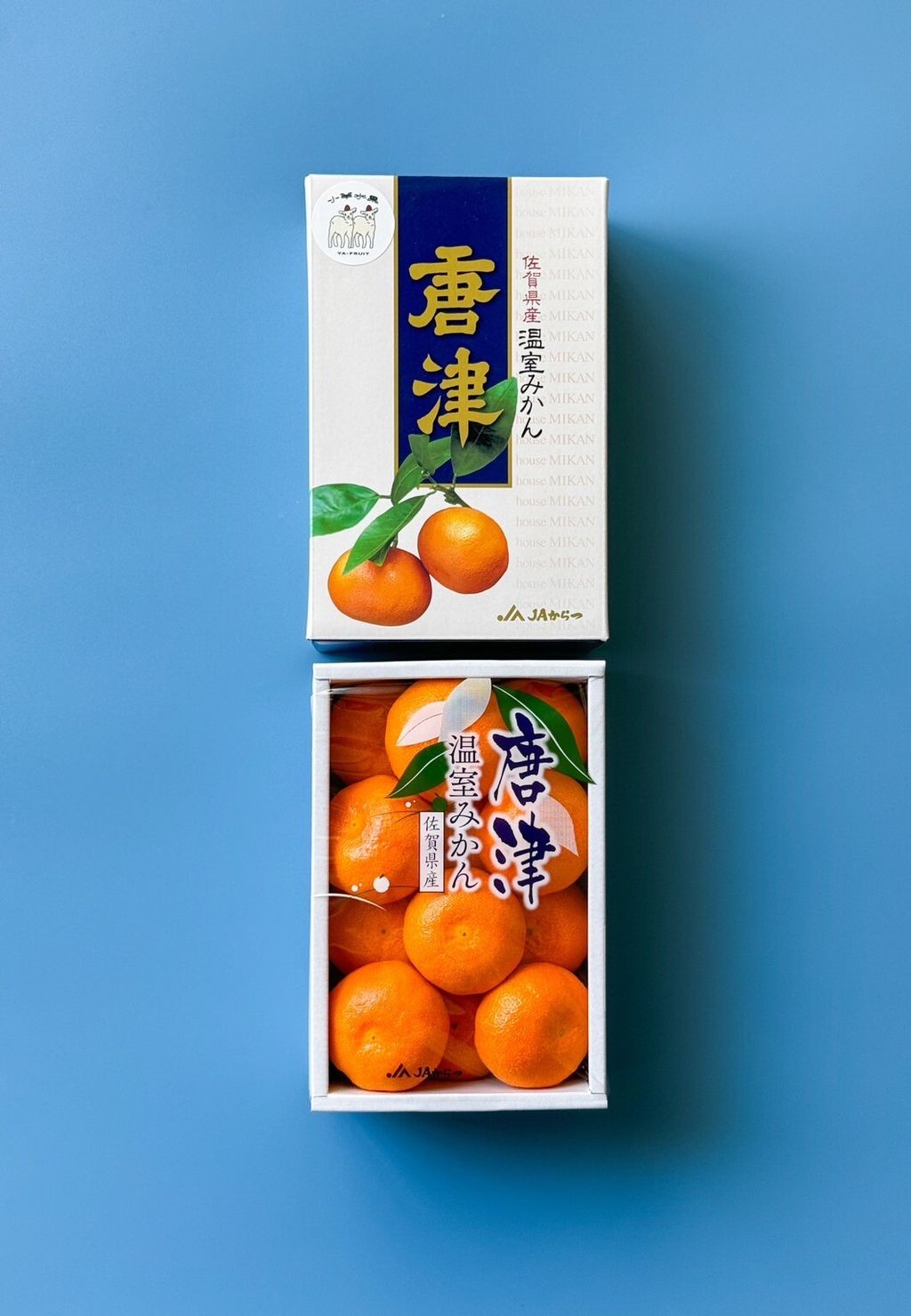 LINE_ALBUM_糖精_250704_1